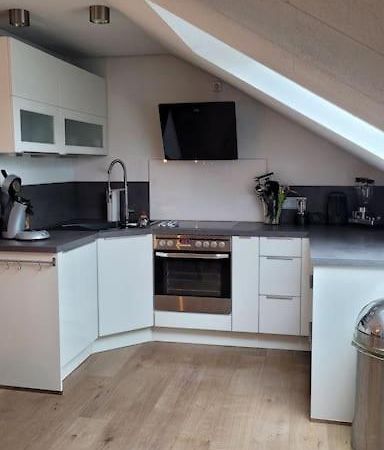 Apartment Schwarzwaldmaedel Friedenweiler ภายนอก รูปภาพ