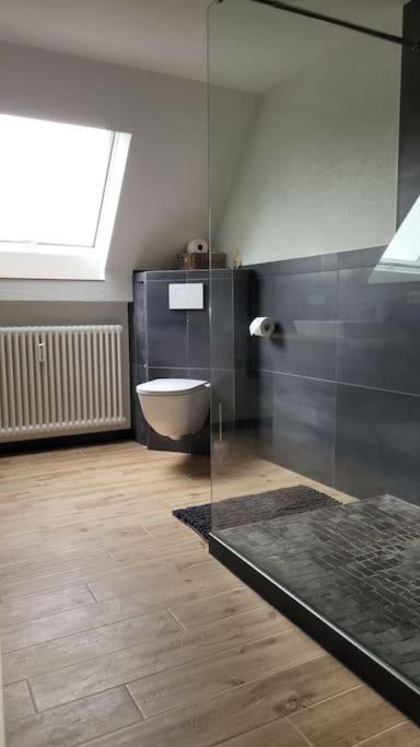 Apartment Schwarzwaldmaedel Friedenweiler ภายนอก รูปภาพ