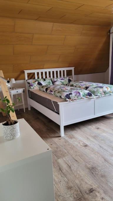 Apartment Schwarzwaldmaedel Friedenweiler ภายนอก รูปภาพ