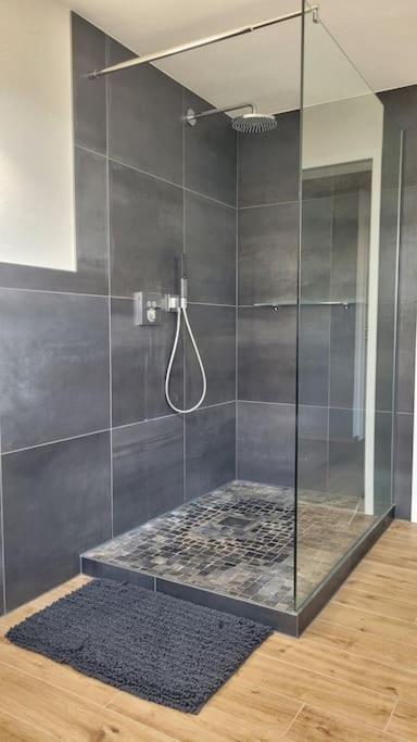 Apartment Schwarzwaldmaedel Friedenweiler ภายนอก รูปภาพ